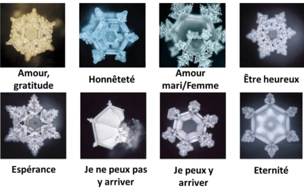 La Mémoire du Corps : Le Langage Silencieux de Nos Cellules